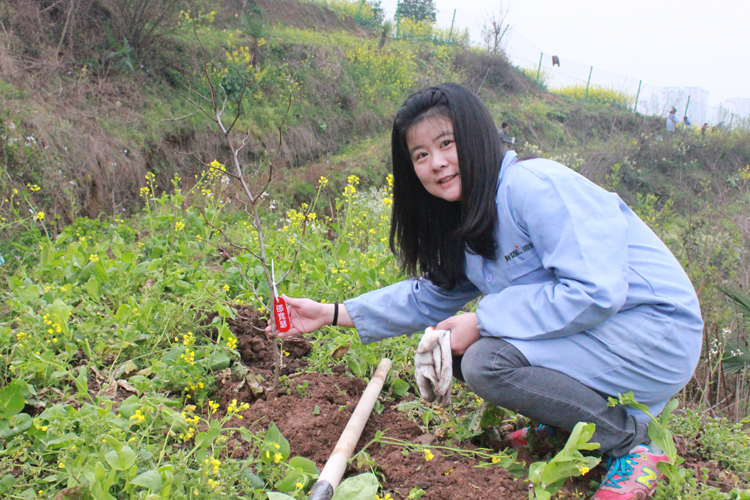 微特電子組織員工及家屬參加植樹節(jié)義務(wù)植樹活動